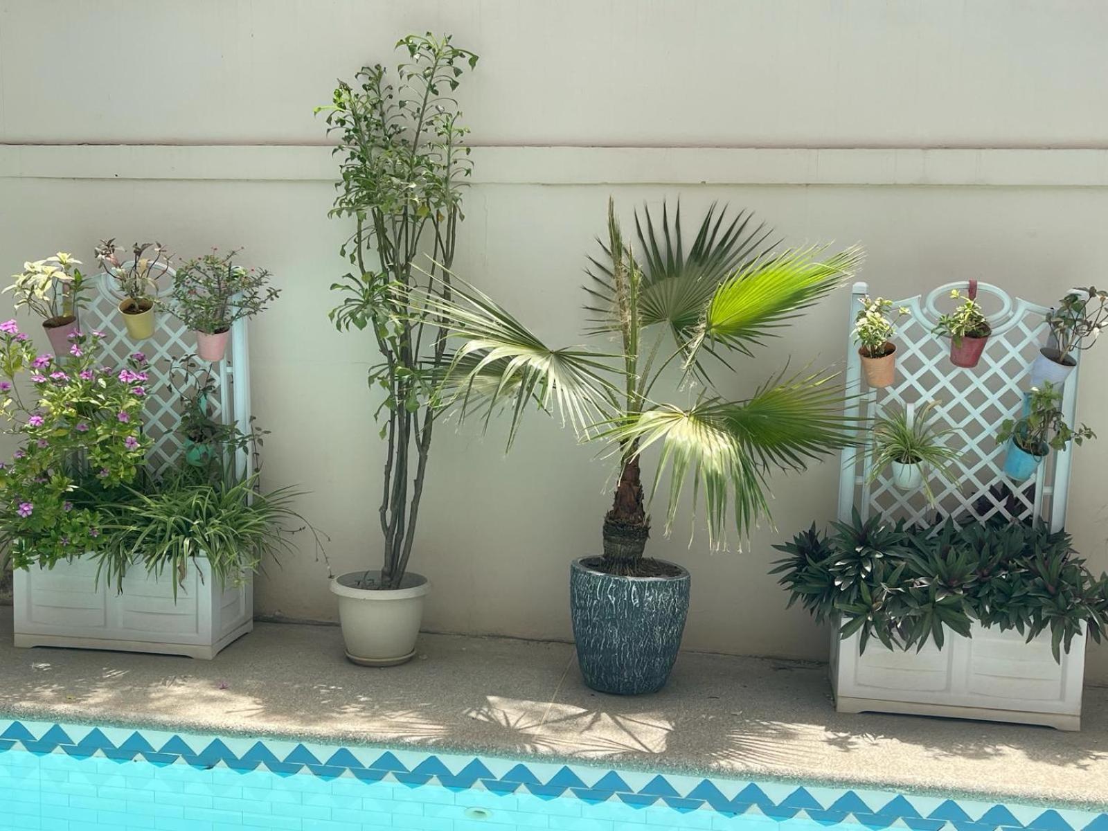 Villa Ngore Saly ภายนอก รูปภาพ